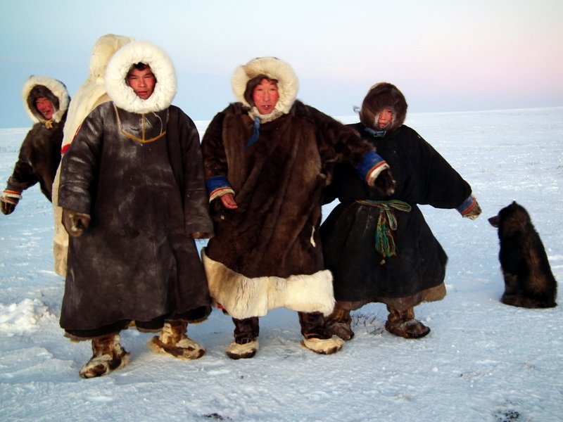 Tours to live with the Yar-Sale Nenets, the world's most migratory nomads